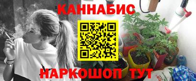 прущая мука Кингисепп